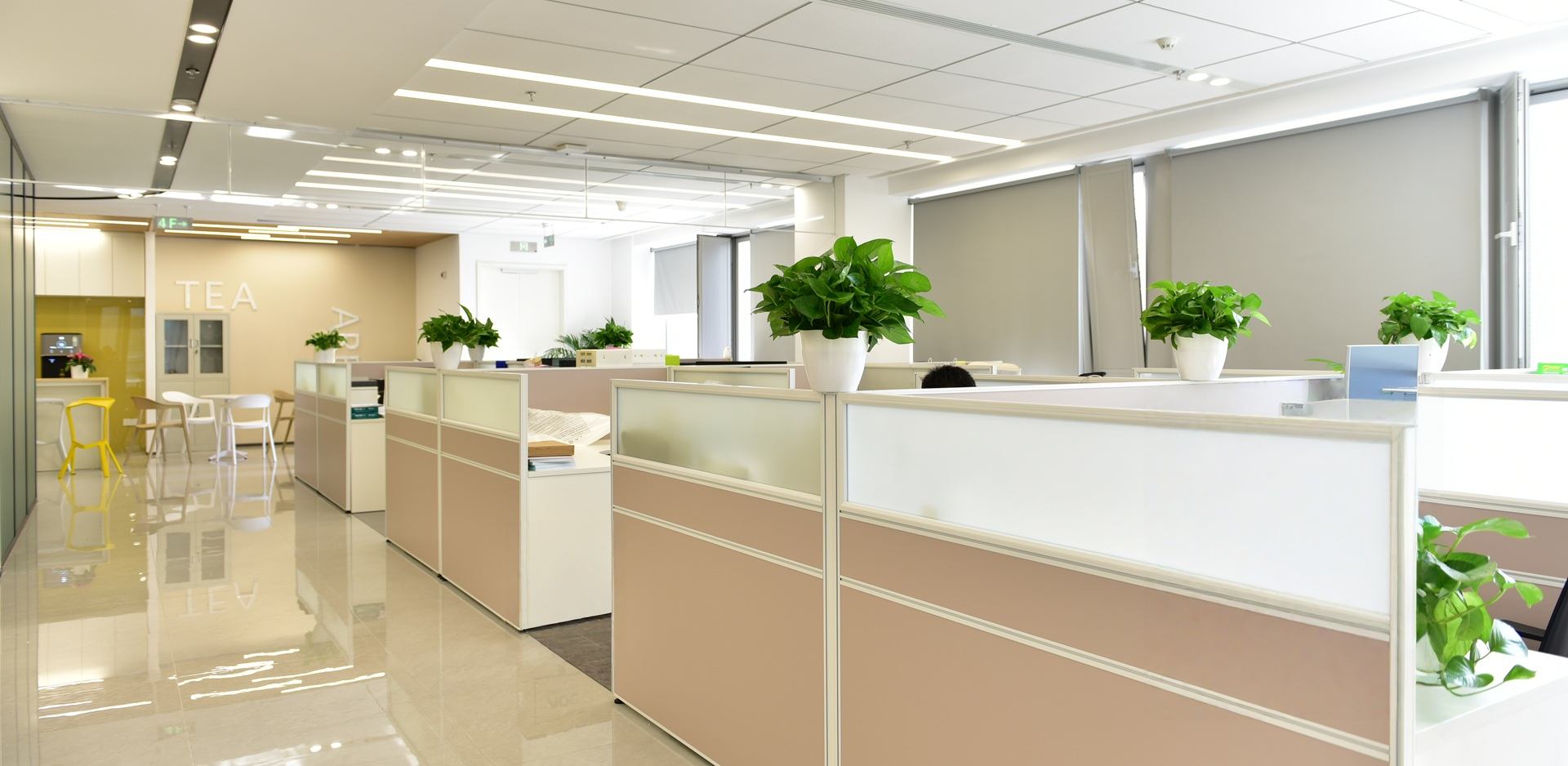 PA视讯官方网站