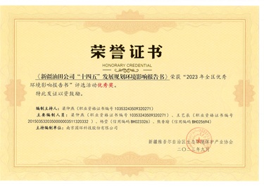 新疆油田十四五发展规划报告书优秀奖